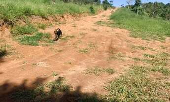 Imagem 7: Terreno direto com dono