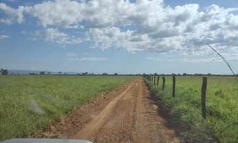 Imagem 2: Fazenda em formosa g.o 1.000 alqueirão 180.000.000.00 ( lean