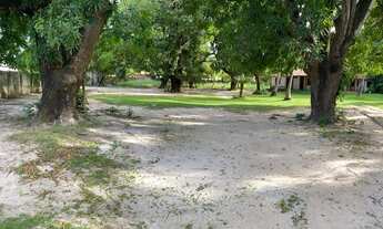 Imagem 5: Magnífico Terreno na Lagora Rendoda