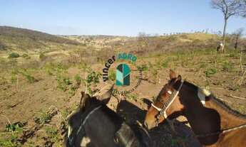 Imagem 5: Fazenda em Arrais