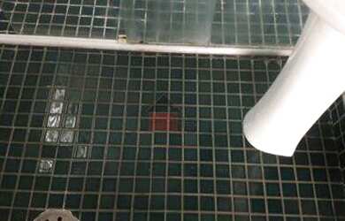 Imagem 2: Apartamento com 2 dormitórios à venda, 56 m² por R$ 289.000,00 - Jardim da Glória - São Pa