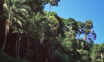 Imagem 3: Apartamento para venda possui 56 metros quadrados com 2 quartos em Pimenteiras - Teresópol