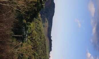 Imagem: Terreno para venda possui 600m²