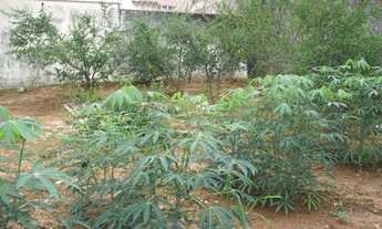 Imagem 6: TERRENO COMERCIAL em JUNDIAÍ - SP, VIZINHO PORTAL PARAIZO