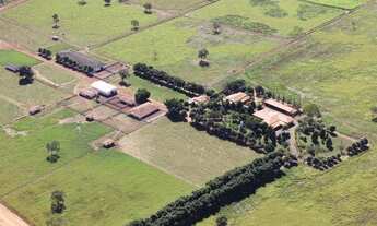 Imagem 6: Fazenda em formosa g.o 1.000 alqueirão 180.000.000.00 ( lean