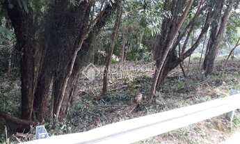 Imagem 4: GAROPABA - Terreno Padrão - Siriu