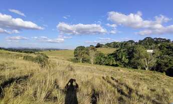 Imagem 7: Fazenda/Sítio/Chácara para venda possui 85962 metros quadrados em Jardim Karla - Pinhais