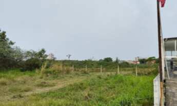 Imagem 3: Lote, Padrão, Desocupado. Área(s): 24995 m² de área total