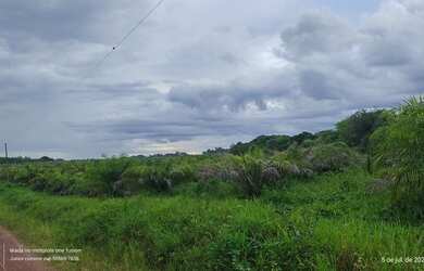 Imagem 4: R$ 960 mil reais 137 Hectares com 50 Hectares de dendê