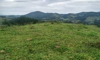 Imagem: Lote/Terreno para venda possui 5000 metros