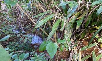 Imagem 5: Chácara à Venda, bom Jesus , Domingos Martins, ES