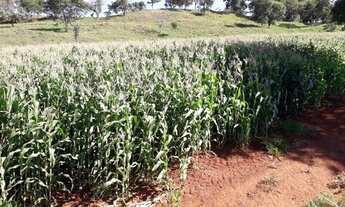 Imagem 7: ?Vendo Sítio Vila Valério?