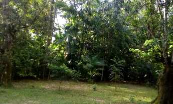 Imagem 4: Sítio Grande com uma fonte no fundo