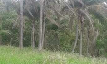 Imagem 7: J.K- Tenho terreno ideal para você