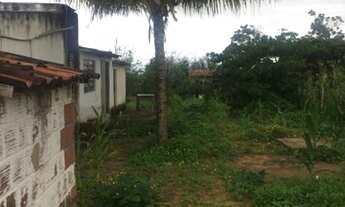 Imagem 6: Sítio Frei Miguelinho