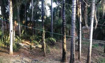 Imagem 3: Lote para Venda em Goiânia, Jardim América