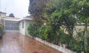 Imagem 2: São Paulo - Terreno Padrão - Cidade Patriarca