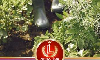 Imagem 2: Lindos 20000 Metros pra você criar sua fazendinha