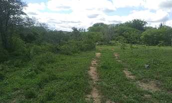 Imagem 2: Terreno/lote, na zona rural de Gravatá PE, com 98 hectares
