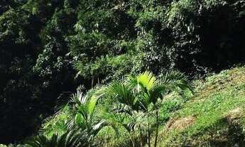 Imagem 5: Apartamento para venda possui 56 metros quadrados com 2 quartos em Pimenteiras - Teresópol