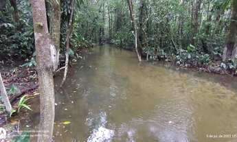 Imagem 6: R$ 960 mil reais 137 Hectares com 50 Hectares de dendê