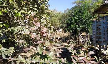 Imagem 2: Lote a venda 2 km da cidade .. vendo e aceito proposta