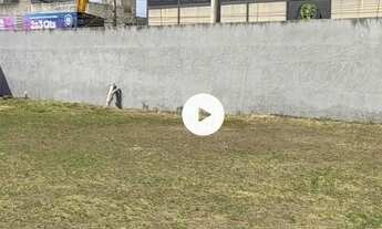 Imagem 7: Apartamento Mobiliado em Coqueiral Itaparica(Vila Velha