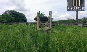 Imagem 6: Fazenda de 226hectares escriturada - venda casa sede com energia elétrica