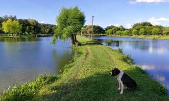 Imagem 7: Vendo Área de Terras em Parobé pra vc Investidor e Empreendedor na Piscicultura