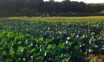 Imagem 6: Fazenda/Sírio/ chácara no Incra 06