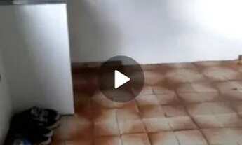 Imagem: Kitnet para solteiro ou casal, bairro Jorge