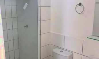 Imagem 6: Apartamento alugo