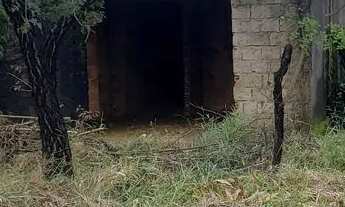 Imagem 5: Lote Mateus Leme