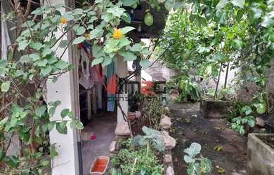 Imagem 4: Casa, Moinho Velho - São Paulo