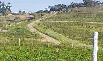 Imagem 7: Lote/Terreno para venda possui 600 metros quadrados