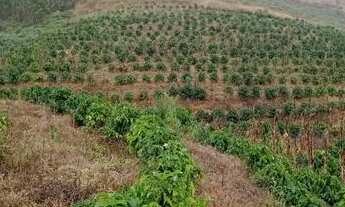 Imagem 3: Chácara em São Roque Maravilha - Alfredo Chaves