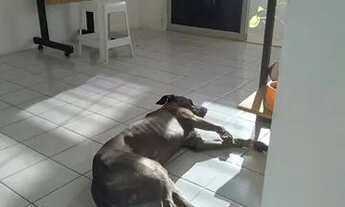 Imagem: Aluguel de quarto para Mulheres em Ponta