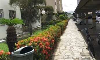 Imagem 6: VITORIA REGIA / ROSA ELZE