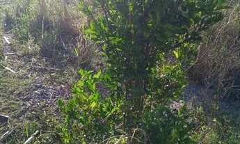 Imagem 2: Vendo ou troco por oficina mecânico