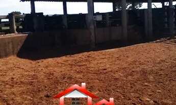 Imagem 6: Fazenda 127 Alqueires Região De Santa Rita Do Pardo/MS