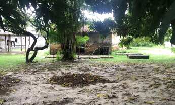 Imagem 4: Terreno em Salvaterra pra vender