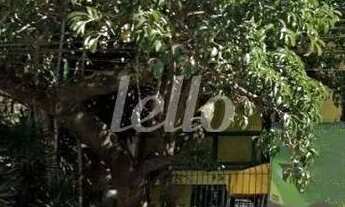 Imagem 5: São Paulo - Casa Comercial - Moema