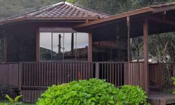 Imagem 4: Sírio em angelina SC