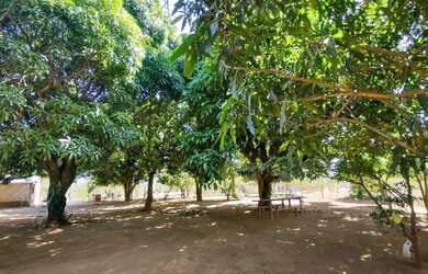 Imagem 5: Chácara JD. Morumbi - Planaltina DF VD/Troco