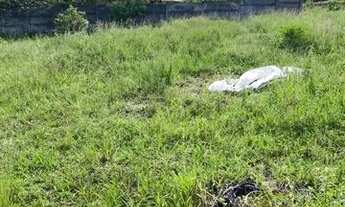 Imagem 4: Terreno plano 8x20