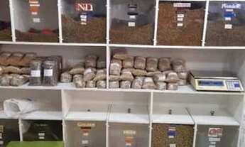 Imagem 6: Ponto de loja de agropecuária e pet montada e um vasto estoque de mercadorias à venda, QND