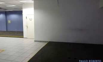 Imagem 5: GALPÃO - ACLIMAÇÃO - SP