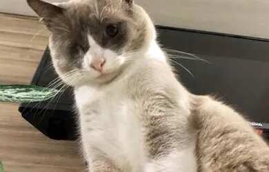 Imagem 6: Alugo Quarto para Mulheres nos Bancários