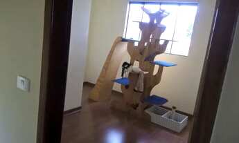 Imagem 7: Troco por terreno ou casa de menor valor