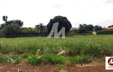 Imagem 3: Terreno (terreno normal